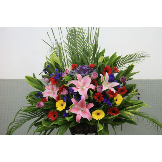 Flowers for Congratulations with Red Lily and Mixed Colors of Gerberas