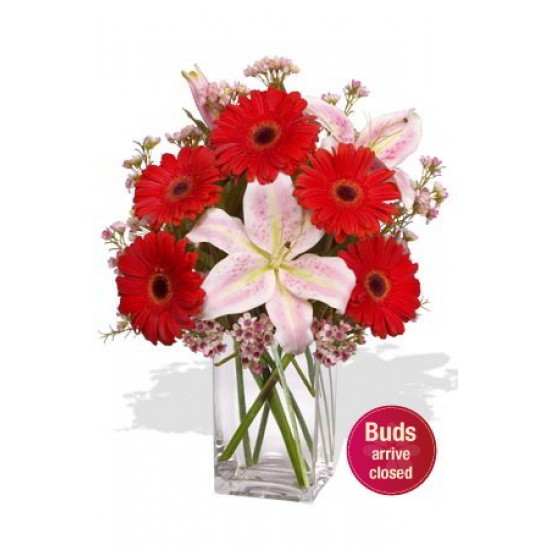 Gerberas and Oriental Lily Vase Bouquet